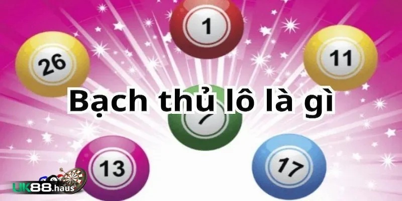 bach thu lo la gi tim hieu Bạch thủ lô là gì?